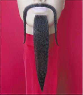 Ensemble Moustache et Bouc Chinois Noir