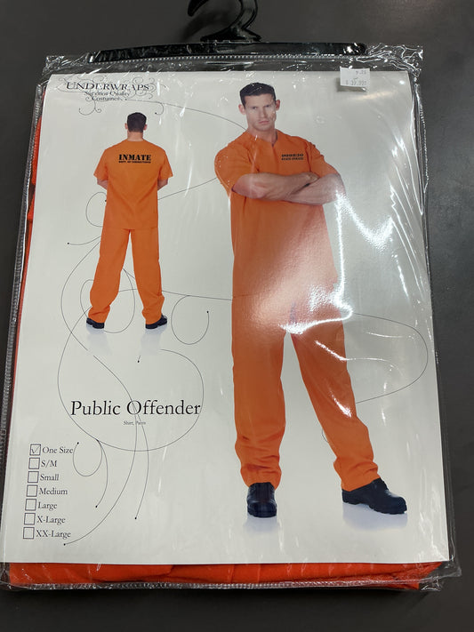 Public offender
